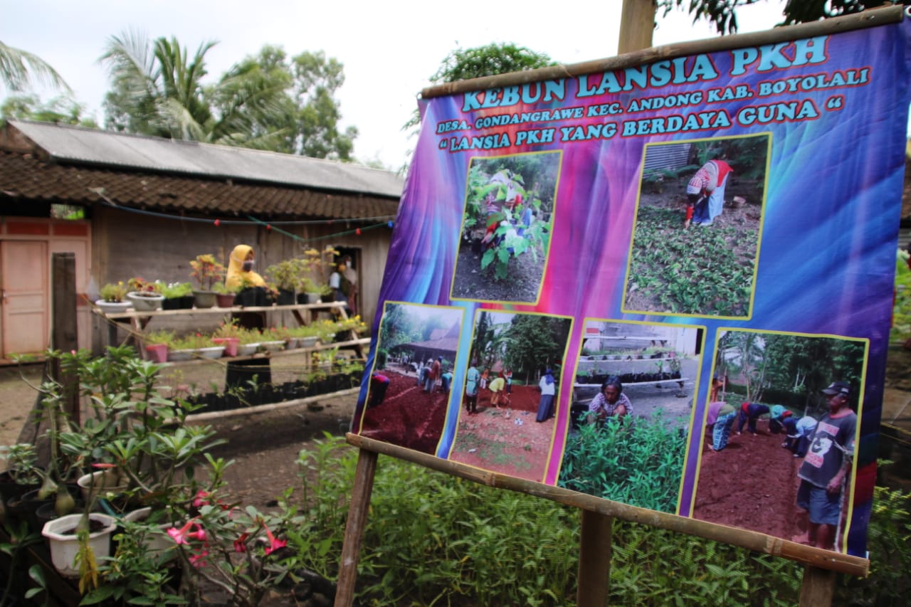 PKH Empowers Elderly KPM Through Garden Cultivation