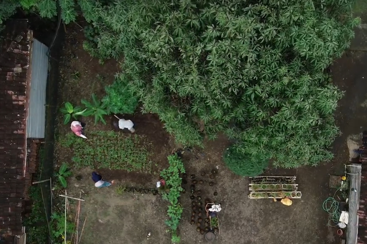 Kebun Lansia, Sarana Rekreatif Kurangi Risiko Pikun