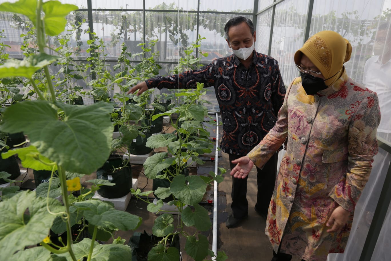 Social Minister Risma Inaugurates Smart Urban Farming