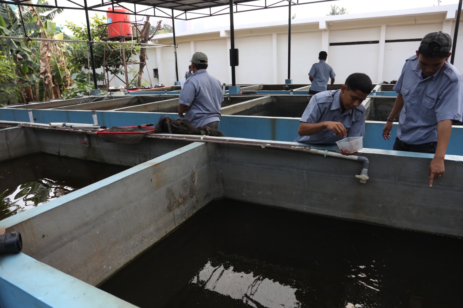 Kisah Pemberdayaan Generasi Muda oleh Kemensos